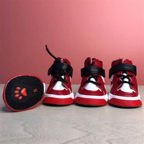 designer dog shoes